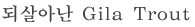 되살아난 Gila trout