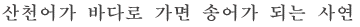 산천어가 바다로 가면 송어가 되는 사연